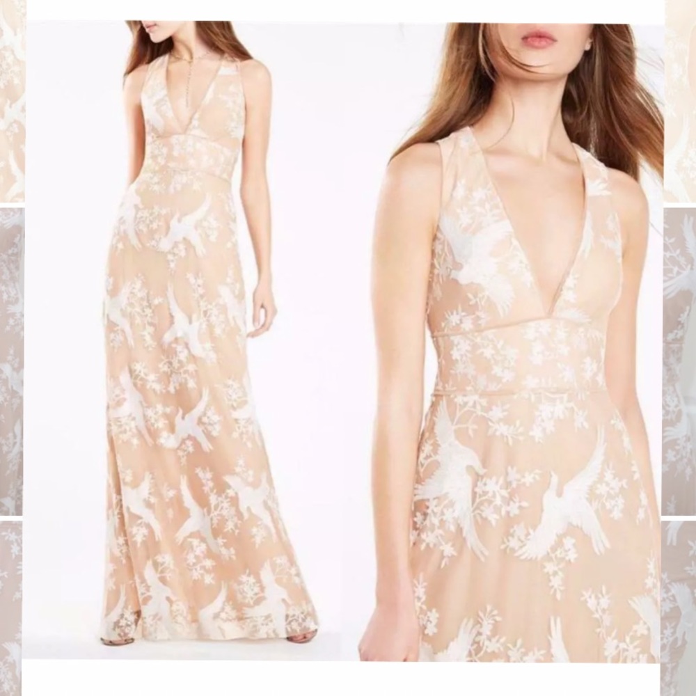 NWOT BCBGMaxazria Cecilia Dove embroidered gown